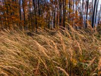 Beskid Niski